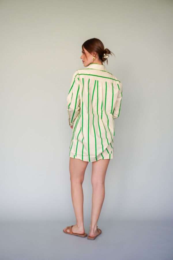 SET RALLADO VERDE - Imagen 3
